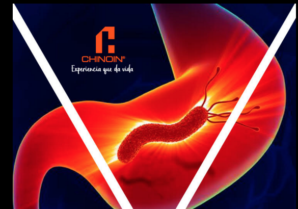 Macintosh HD:Users:jorgevillegashernandez:Desktop:EMERGENTE:20191127 Helicobacter Pylori… un problema de salud en México:Captura de pantalla 2019-11-26 a la(s) 10.31.52.png