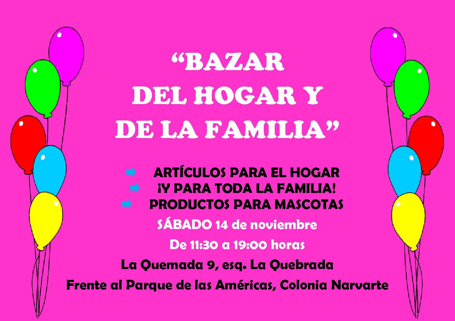 BAZAR DEL HOGAR Y DE LA FAMILIA. SÁBADO 14 DE NOVIEMBRE «BUEN FIN»  DE 11:30 a 19:00 HORAS