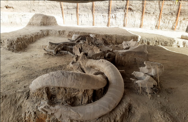 ¡POR ROBO DE NUESTRO PATRIMONIO! EL INSTITUTO NACIONAL DE ANTROPOLOGÍA E HISTORIA, INAH PRESENTÓ UNA FUERTE DENUNCIA