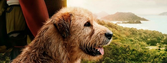 Película   “Arthur: Una Amistad Sin Límites”, la Aventura que Dejará Huella